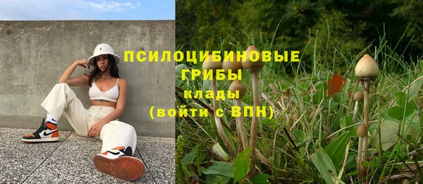 ешки Арсеньев