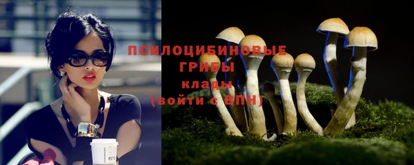 прущий лед Аркадак