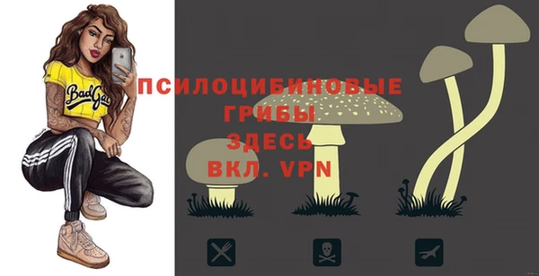 ешки Арсеньев