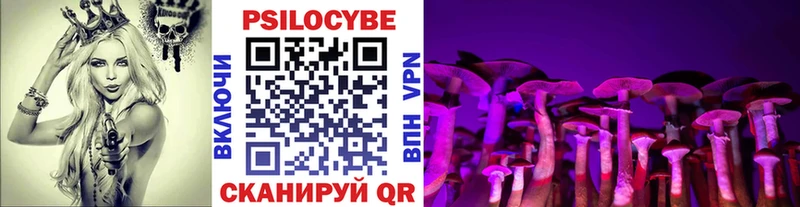 Псилоцибиновые грибы MAGIC MUSHROOMS  кракен как войти  Полярные Зори 
